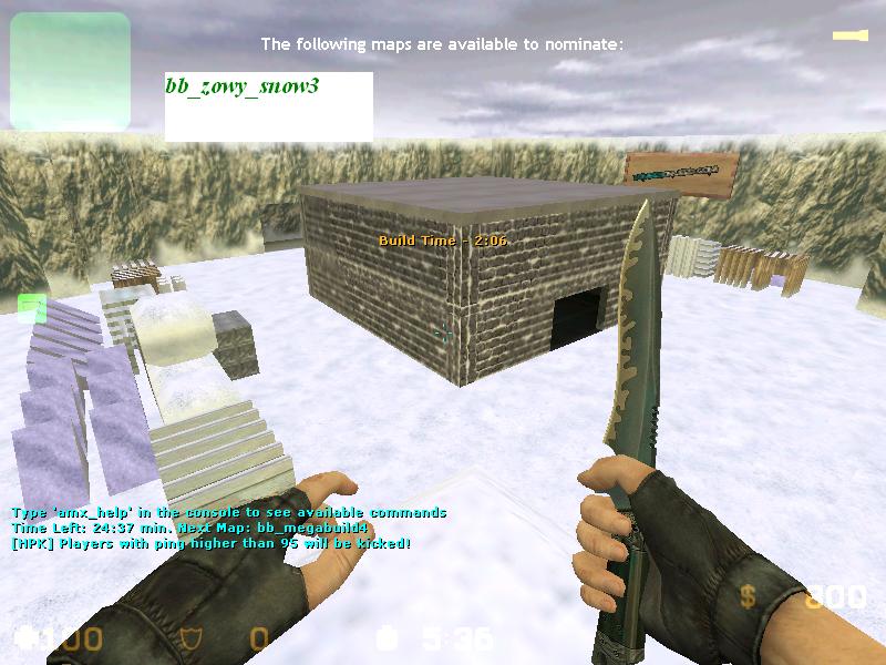 snowy.JPG